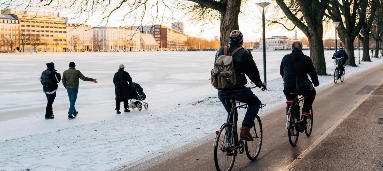 Vinter ved søerne